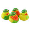 Duck - StPaddy.jpg (21509 bytes)