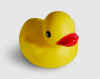 duck001.jpg (18572 bytes)