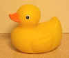 duck002.jpg (3566 bytes)