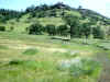 Bidwell Park, Chico California IMG_0001.JPG (128191 bytes)