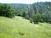 Bidwell Park, Chico California IMG_0003.JPG (117574 bytes)