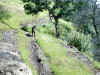 Bidwell Park, Chico California IMG_0004.JPG (175590 bytes)