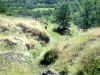 Bidwell Park, Chico California IMG_0020.JPG (167563 bytes)