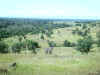 Bidwell Park, Chico California IMG_0024.JPG (96004 bytes)