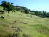 Bidwell Park, Chico California IMG_0009.JPG (113835 bytes)