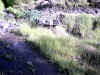 Bidwell Park, Chico California IMG_0021.JPG (172184 bytes)