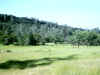 Bidwell Park, Chico California IMG_0020.JPG (96174 bytes)