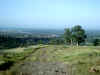 North Rim Trail, Bidwell Park, Chico California IMG_0014.JPG (92683 bytes)