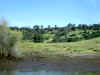 Bidwell Park, Chico California IMG_0026.JPG (90088 bytes)