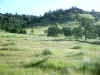 Bidwell Park, Chico California, IMG_0001.JPG (103597 bytes)