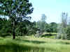 Bidwell Park, Chico California, IMG_0002.JPG (152682 bytes)