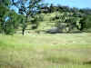Bidwell Park, Chico California, IMG_0003.JPG (146351 bytes)