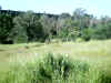 Bidwell Park, Chico California, IMG_0004.JPG (146736 bytes)