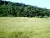 Bidwell Park, Chico California, IMG_0007.JPG (117101 bytes)