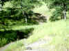 Bidwell Park, Chico California, IMG_0015.JPG (157633 bytes)