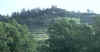 Bidwell Park, Chico California IMG_0001.JPG (128191 bytes)