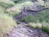 IMG_0003.JPG (135779 bytes)