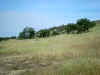 IMG_0025.JPG (86975 bytes)