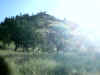 Bidwell Park, Chico California IMG_0001.JPG (128191 bytes)