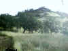 Bidwell Park, Chico California IMG_0001.JPG (128191 bytes)