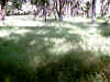 IMG_0004.JPG (154468 bytes)