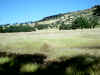 IMG_0013.JPG (104676 bytes)