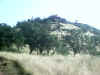 Bidwell Park, Chico California IMG_0001.JPG (128191 bytes)