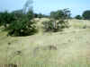 IMG_0011.JPG (110013 bytes)