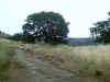 IMG_0002.JPG (90464 bytes)