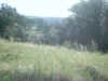 IMG_0006.JPG (101641 bytes)