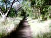 Bidwell Park, Chico California IMG_0001.JPG (128191 bytes)