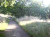 Bidwell Park, Chico California IMG_0001.JPG (128191 bytes)