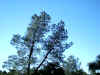 IMG_0012.JPG (119854 bytes)