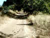 Bidwell Park, Chico California IMG_0001.JPG (128191 bytes)