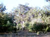IMG_0002.JPG (162444 bytes)