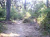 Bidwell Park, Chico California IMG_0001.JPG (128191 bytes)