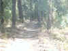 Bidwell Park, Chico California IMG_0001.JPG (128191 bytes)