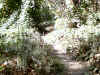 IMG_0008.JPG (210488 bytes)