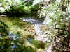 Bidwell Park, Chico California IMG_0001.JPG (128191 bytes)