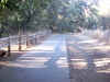 Bidwell Park, Chico California IMG_0001.JPG (128191 bytes)