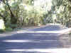 IMG_0004.JPG (137636 bytes)