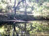 Bidwell Park, Chico California IMG_0001.JPG (128191 bytes)