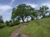 Bidwell Park, Chico California IMG_0001.JPG (128191 bytes)