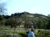 Bidwell Park, Chico California IMG_0001.JPG (128191 bytes)