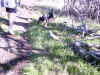 IMG_0013.JPG (200802 bytes)