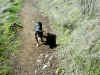 Upper Bidwell Park, Chico California