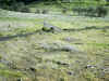 Upper Bidwell Park, Chico California