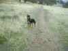 Upper Bidwell Park, Chico California