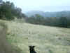 Upper Bidwell Park, Chico California