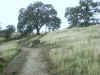 IMG_0055.JPG (106889 bytes)